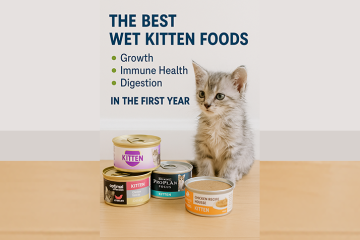The Best Wet Kitten Foods for Growth, Immune Health, and Digestion in the First Year